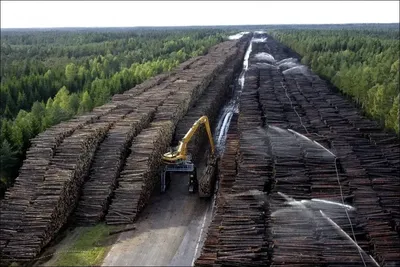 Фотография природы Сибири: погружение в дикую красоту