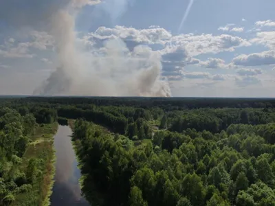 Леса дикой природы: фотографии живописных лесов Украины