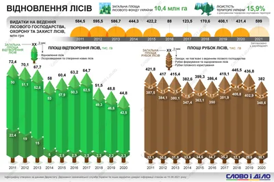 Галерея фотографий леса Украины 2024 года