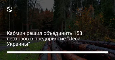 Шедевры природы: обои с изображением украинских лесов на ваш рабочий стол