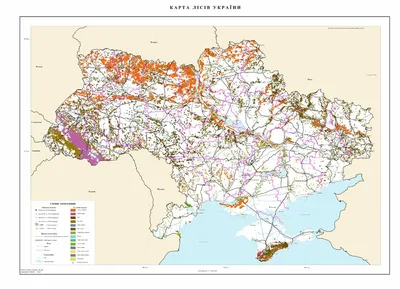 Осенний волшебство: обои с украинскими лесами на ваш рабочий стол