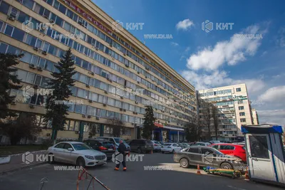 Зеленые аллеи и Леси Українка: фотографии волшебного союза