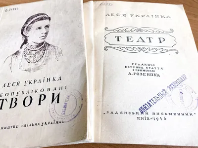 По следам Леси Українки: потрясающие виды украинских лесов