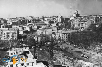 Леси Українки в объективе: красивые моменты природы на фотографиях