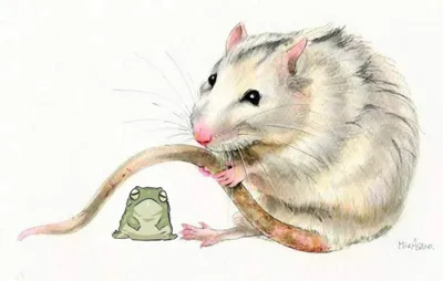 Картинка лесной крысы для скачивания в JPG