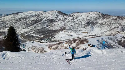 Зимние краски Алматы: Фотографии лесной природы и форматы изображений