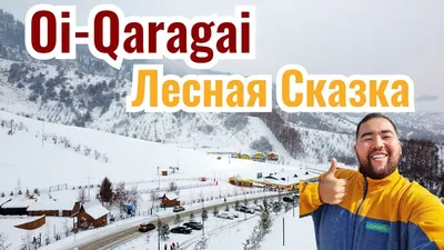Лесная красота Алматы зимой: Изображения природы с выбором формата