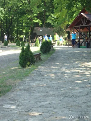 Расслабляющие виды Лесного озера верхнерусского на фото