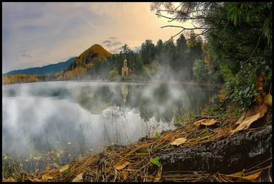 Картина природы: фото лесного озера