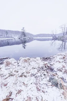 Роскошные изображения лесного озера