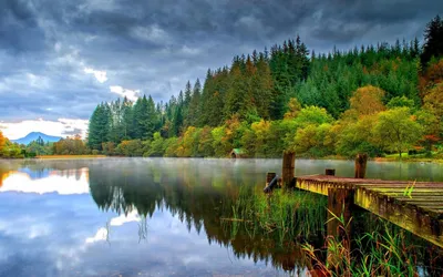 Фотографии лесного озера в формате 4K