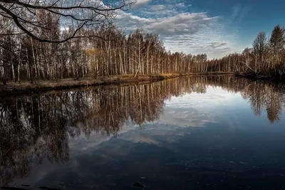 Фотографии лесного озера в хорошем качестве