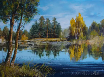 Великолепное изображение лесного озера