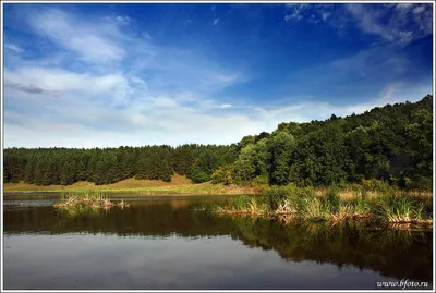 HD картинки лесного озера для скачивания