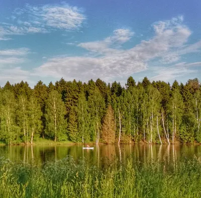 Изображение озера в лесу: фотография сказочной природы в Full HD