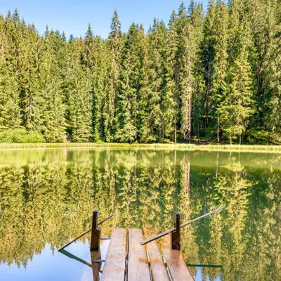 Фото лесного озера в 4K: впечатляющие обои на рабочий стол