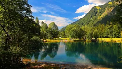 Фотография озера в лесу: загадочный рисунок в Full HD