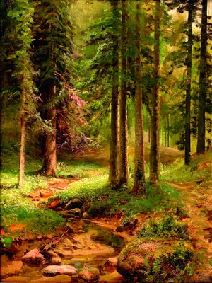 Лесной пейзаж  фото