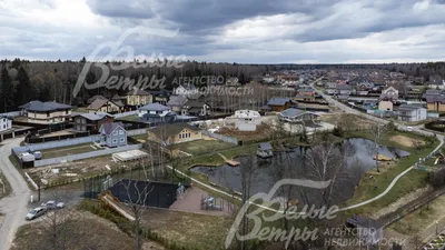 Фотографии лесных пейзажей: волшебство природы в HD качестве