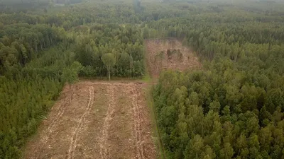 Магические пейзажи без лесных массивов