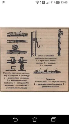 Уникальные снимки леса в 2024 году