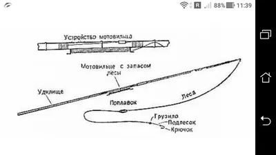 Живописный лес на обоях для телефона