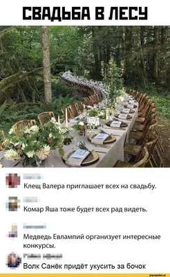 Вдохновляющие фото лесных тропинок