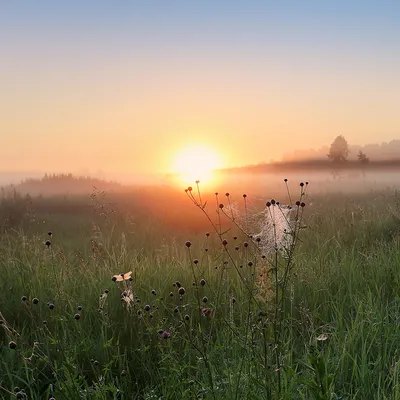 Магия утра: потрясающие фото летнего рассвета