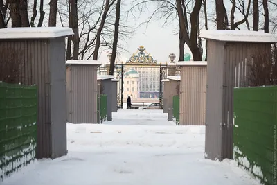 Зимний восторг: Летний сад во льдах и снегу