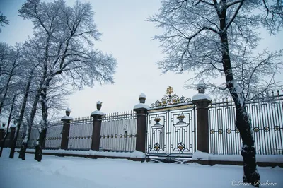 Фото летнего сада зимой: Зимний аромат цветов