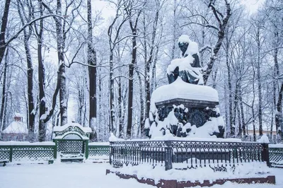 Летний сад в зимнем обличье: Волшебные картины зимы