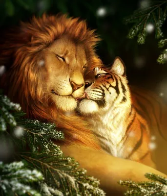 Величественный лев и могучий тигр вместе на фото
