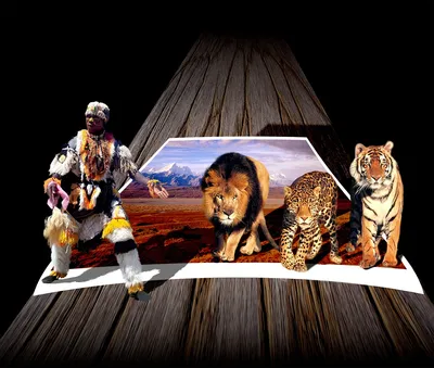 Фото льва и тигра: невероятная гармония