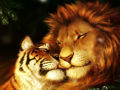 Львы и тигрицы: неповторимая картинка