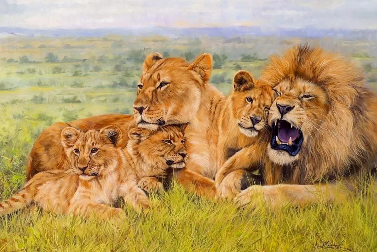 Львы живут семьей. Лев львица и Львенок семья. Лев львица и три львенуп. Прайд это львиная семья. Лев львица и 4 львенка.