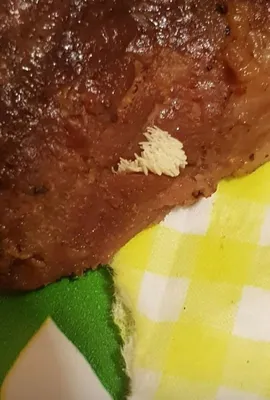 Личинки мух на мясе  фото