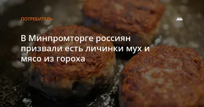 Фото личинок мух на мясе - скачать в HD, Full HD, 4K бесплатно