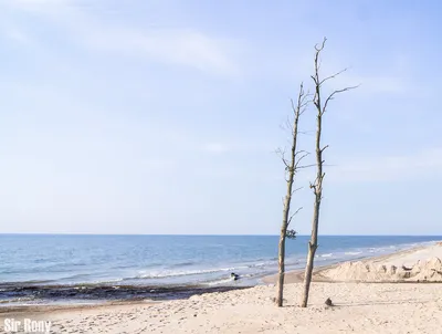 Фотографии Лиепайского пляжа с видом на бескрайнее море