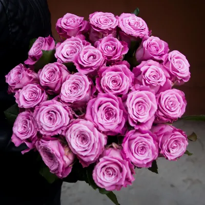 Фото лиловой розы: выберите размер и скачайте в формате png