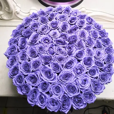 Фотка лиловой розы: выбирайте формат изображения
