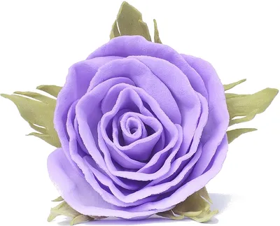 Фотка лиловой розы в формате jpg: скачайте в желаемом размере
