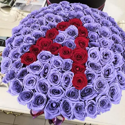 Фотка лиловой розы в формате webp: скачайте в желаемое разрешение