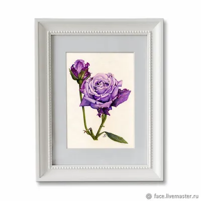 Фотография лиловой розы в формате jpg: доступные форматы скачивания