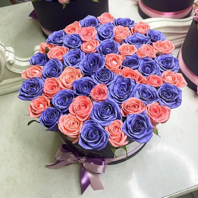 Фотография лиловой розы в формате webp: доступные форматы скачивания
