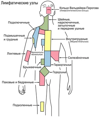 Фотка лимфоузлов: Персонализируйте размер и формат