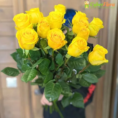 Изображения лимонных роз: качественные фото для вас