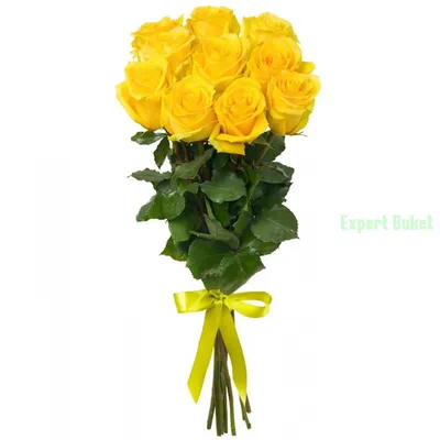 Фото, изображения лимонных роз: яркие и насыщенные цвета