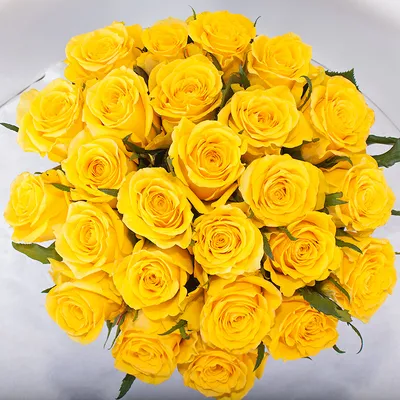 Картинки лимонных роз: любуйтесь этой прекрасной цветочной композицией