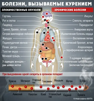 Лёгкие курящего человека: Выбирайте изображения по своему вкусу