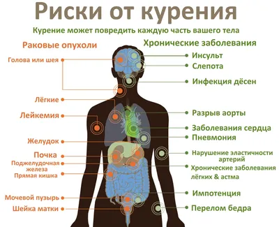 Очарование деталей: Лёгкие курящего человека в HD